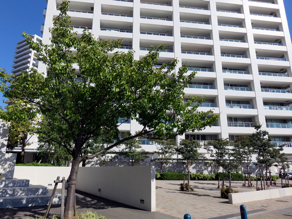 コットンハーバータワーズシーイーストの外観