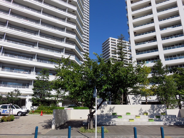 コットンハーバータワーズシーイーストの外観