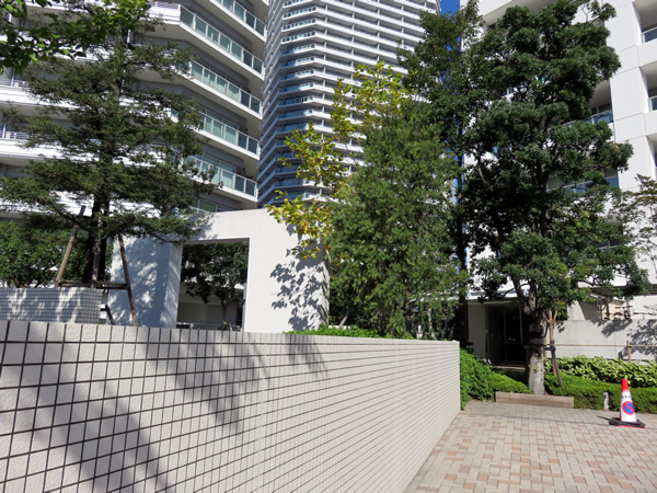 コットンハーバータワーズシーイーストの外観