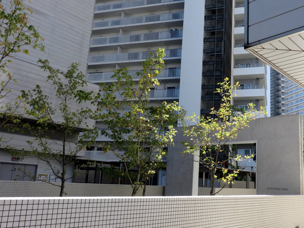 コットンハーバータワーズベイ イーストの外観