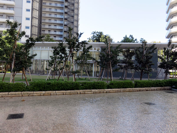 コットンハーバータワーズベイ イーストの外観