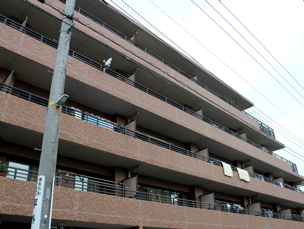 コスモ保土ヶ谷パークフォルムの外観