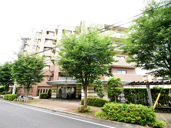 レクセルマンション高根公団の外観