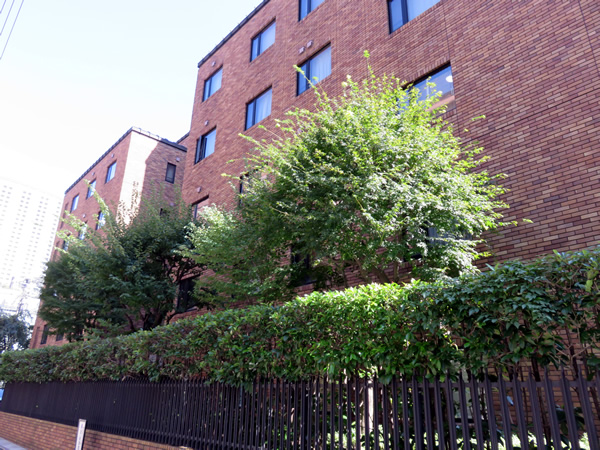 グランフォルム赤坂の外観