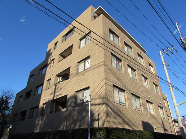 ルアピカ成城の外観