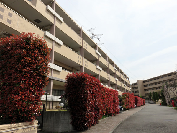 リビオあざみ野ブライティアＤ棟（ヒルサイドコート）の外観