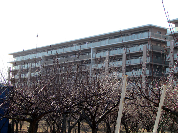 クレヴィア若葉台パークナード五番館の外観