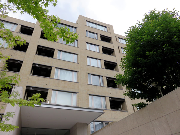 ミッドガーデン赤坂氷川の外観