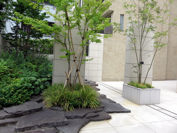 ミッドガーデン赤坂氷川の外観