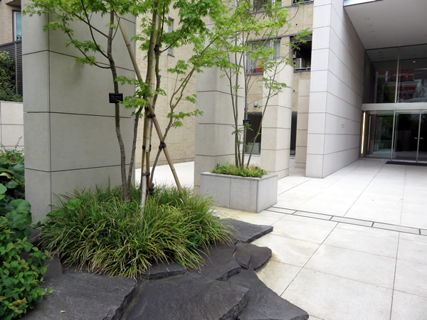 ミッドガーデン赤坂氷川の外観