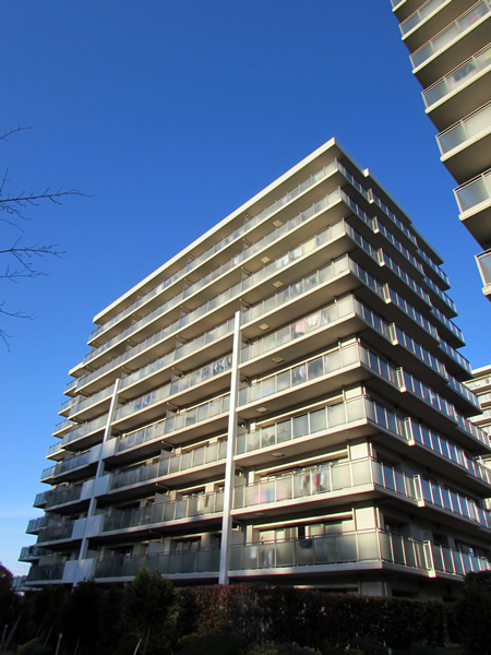 タンタタウンアルボの丘向陽台１番街の外観