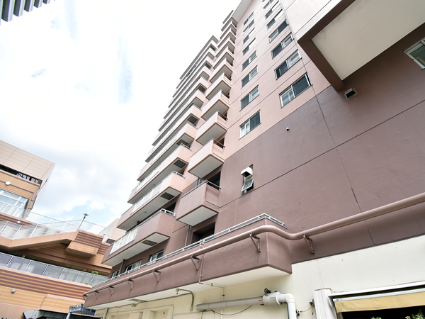 市川サンハイツの外観