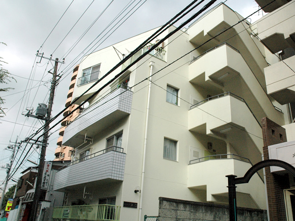 ハイラーク溝の口の外観