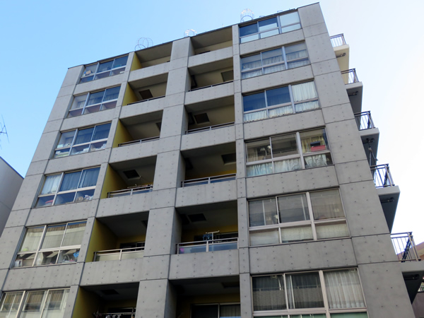 ルシオン多摩川の外観