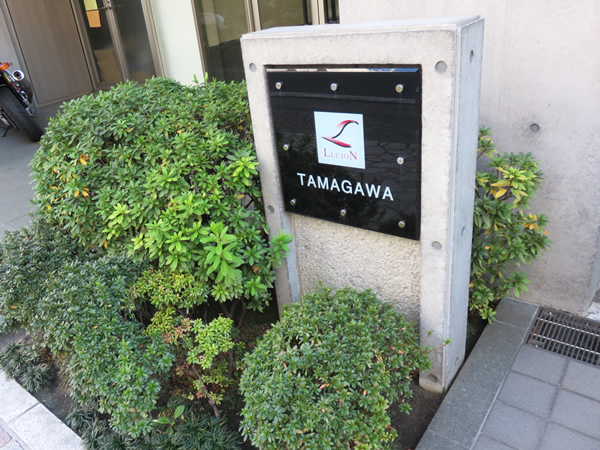 ルシオン多摩川の外観