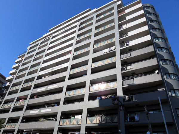 ダイアパレスグランデージ川崎多摩川リバーウイングスの外観