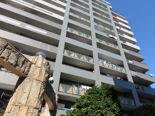 ダイアパレスグランデージ川崎多摩川リバーウイングスの外観