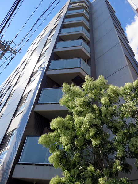 ブライズ高田馬場の外観