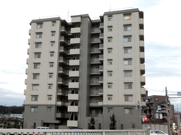 グランデサラ多摩川の外観