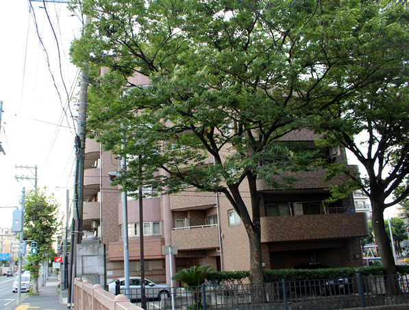 リブゼ横浜ブラッサムコートの外観