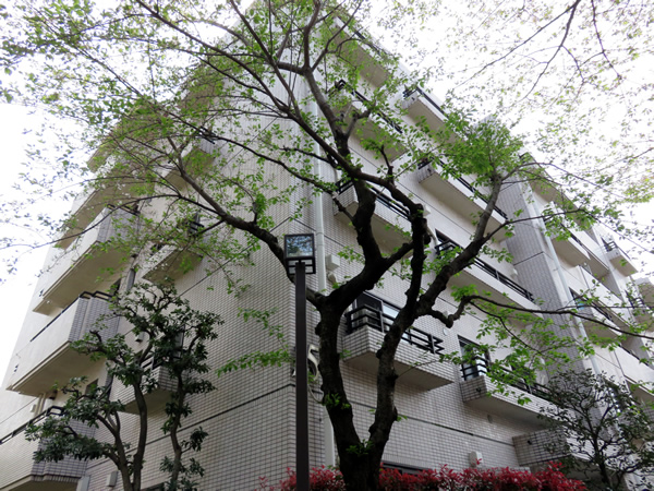 ロビーシティ相模大野５番街１５号棟の外観