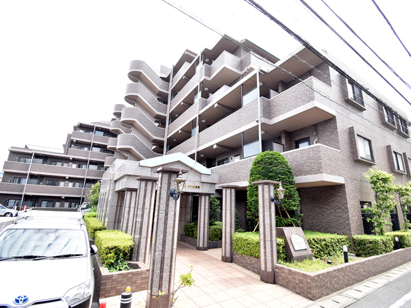 ドラゴンマンション市川の外観