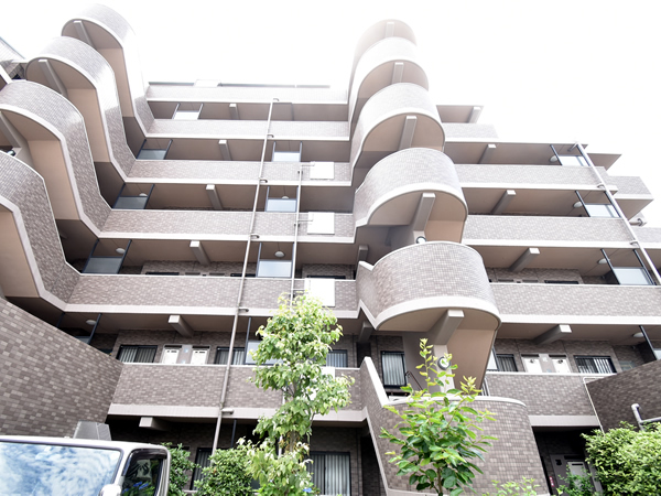 ドラゴンマンション市川の外観