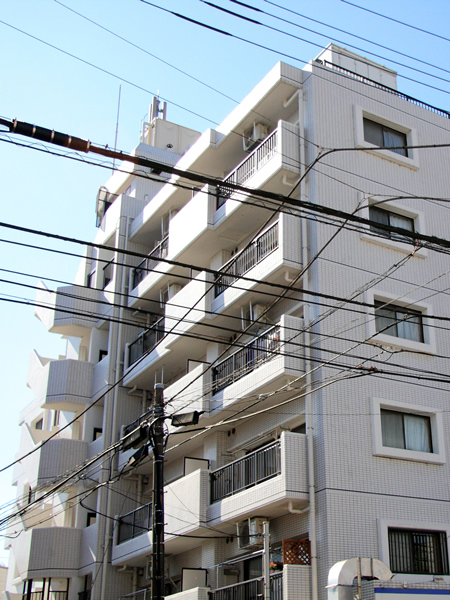 パラスト溝の口の外観