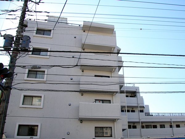 パラスト溝の口の外観