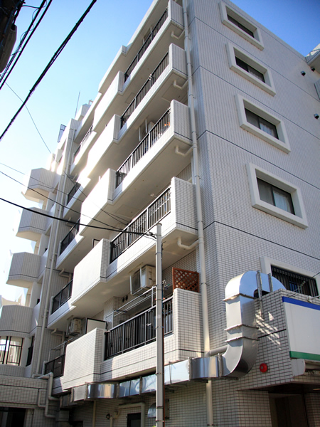 パラスト溝の口の外観