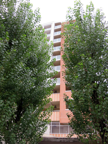 エルフィーノ横濱根岸ディライトコートの外観