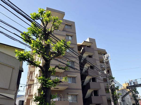 D'クラディア横浜白楽アクティディオの外観