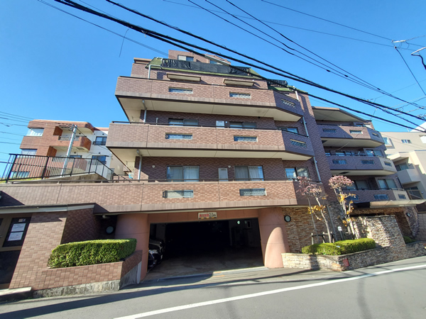 ドメス向ヶ丘遊園ジャルディーノの外観