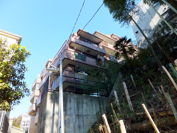 ドメス向ヶ丘遊園ジャルディーノの外観