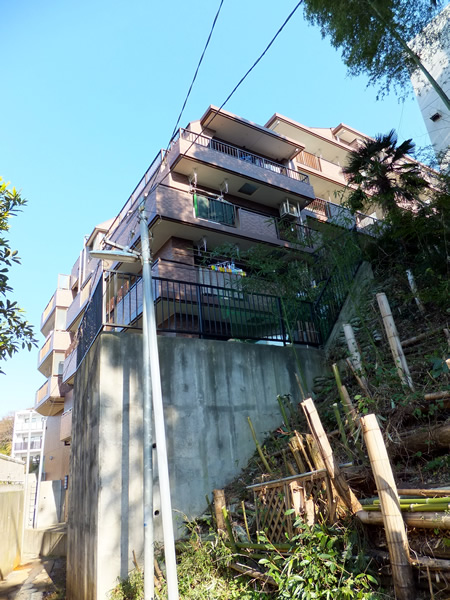 ドメス向ヶ丘遊園ジャルディーノの外観