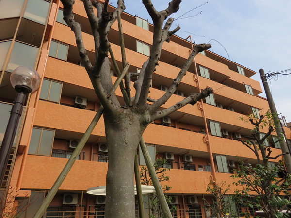 ライオンズヒルズ町田1番館の外観