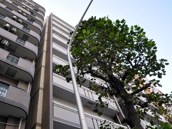 アール・ケープラザ横濱6の外観