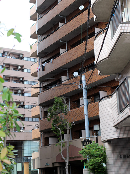 ライオンズプラザ井土ヶ谷1番館の外観