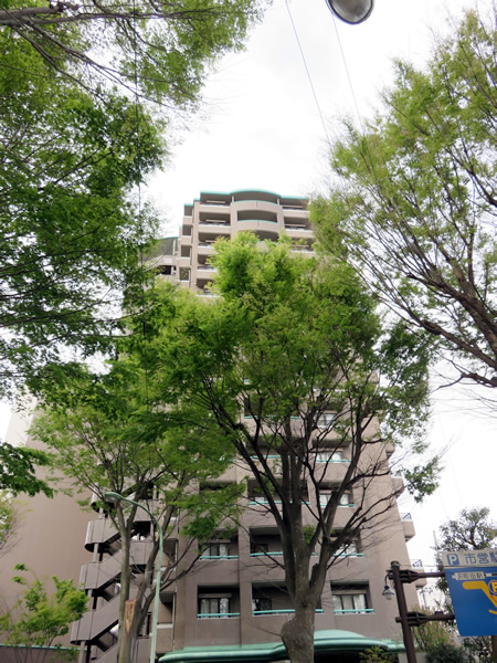 ヴェルデ町田の外観