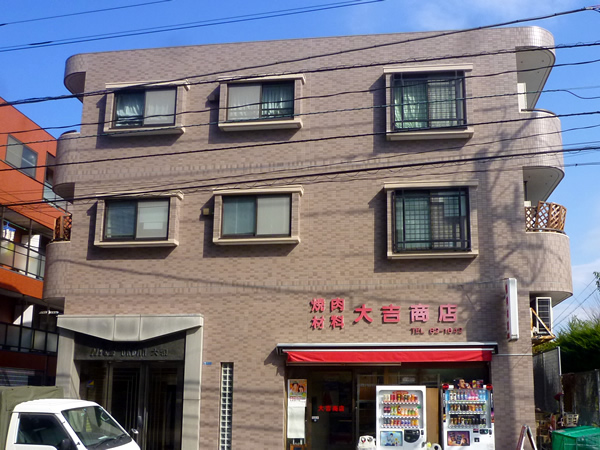 ナイスアーバン大和の外観