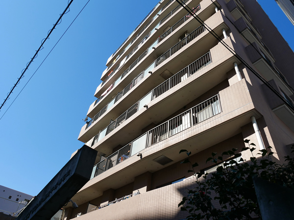 ナイスアーバン湘南平塚明石町の外観