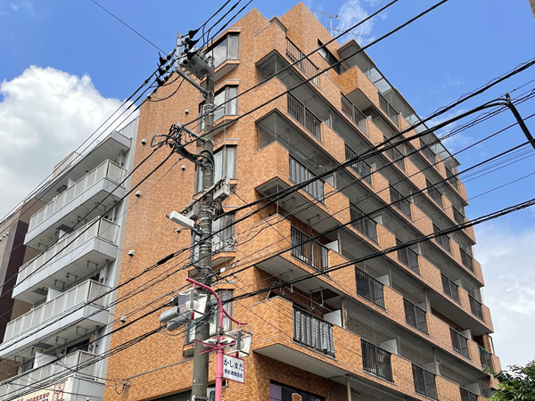 ダイアパレス鹿島田の外観