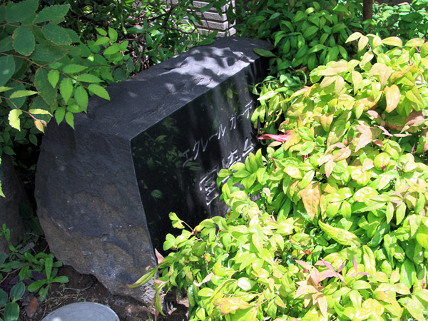 エクレールガーデン宮崎台の外観