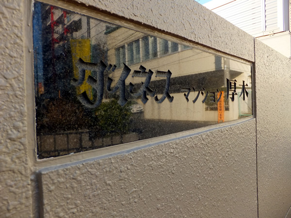 ダイネスマンション厚木の外観