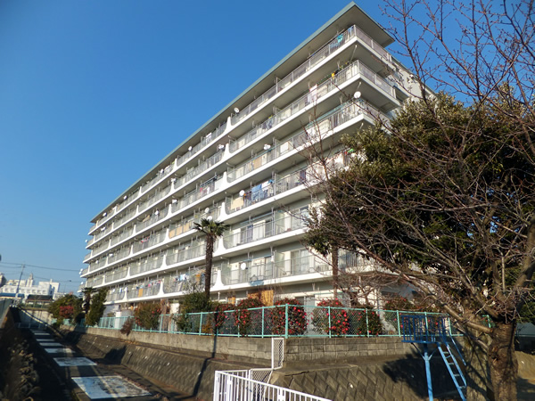 星和伊勢原マンションの外観