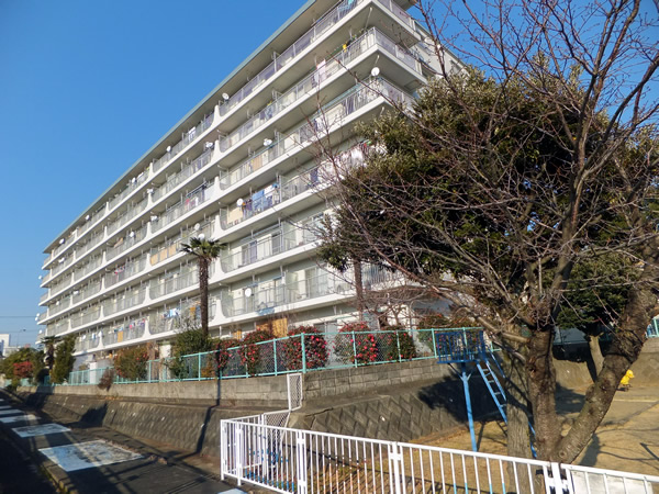 星和伊勢原マンションの外観