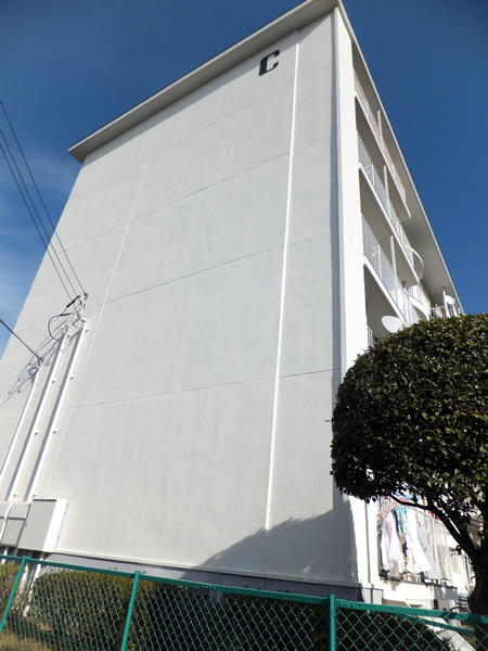 生田明王台ハイツC棟の外観