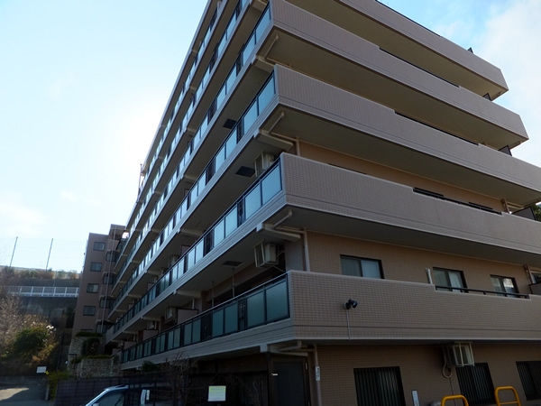 マイキャッスル向ヶ丘遊園の外観