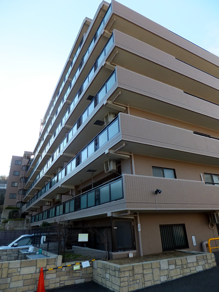 マイキャッスル向ヶ丘遊園の外観