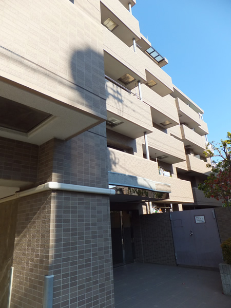 ミレニアムコート向ヶ丘遊園の外観